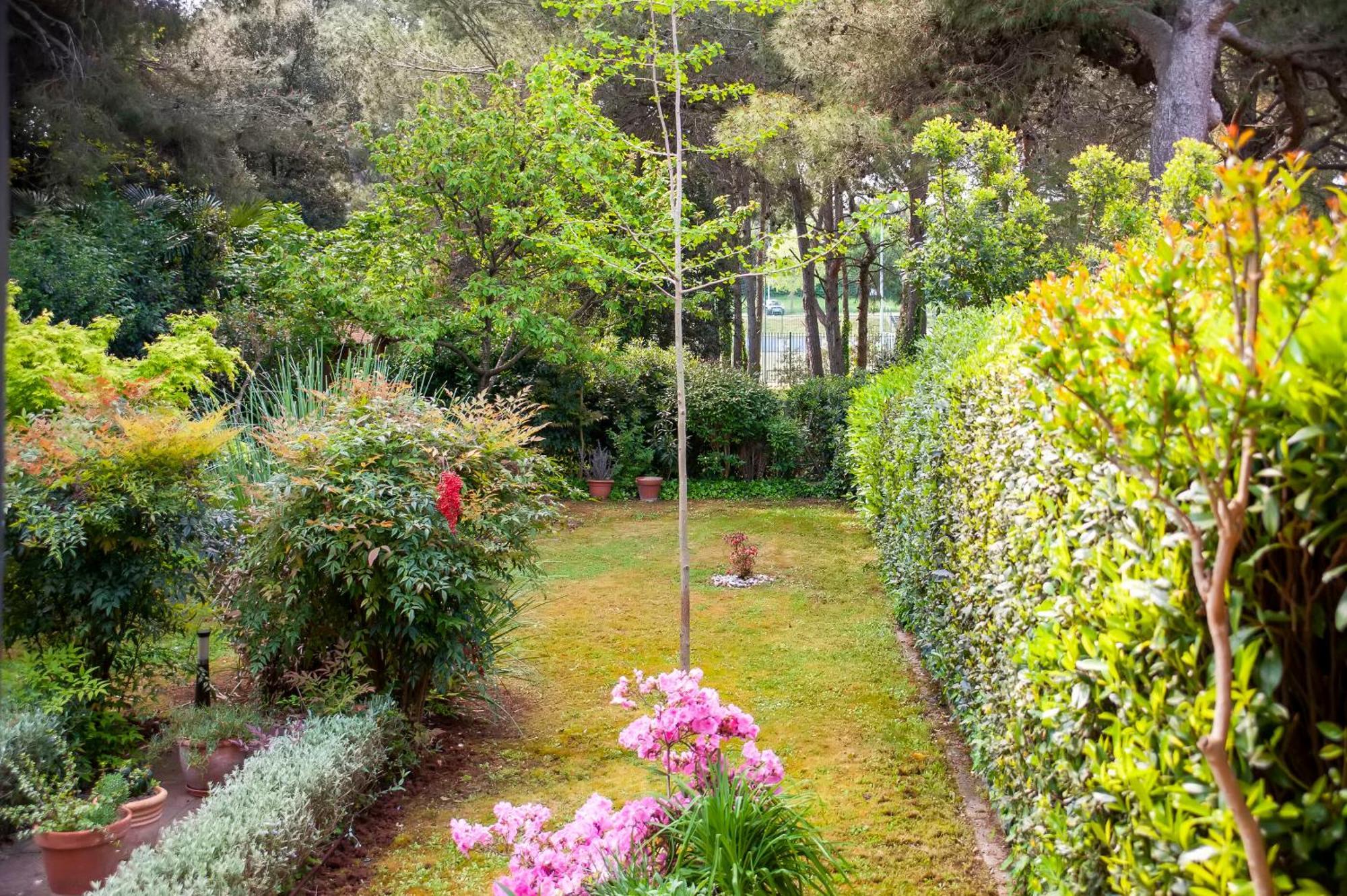 רוביני Apartments Branko מראה חיצוני תמונה
