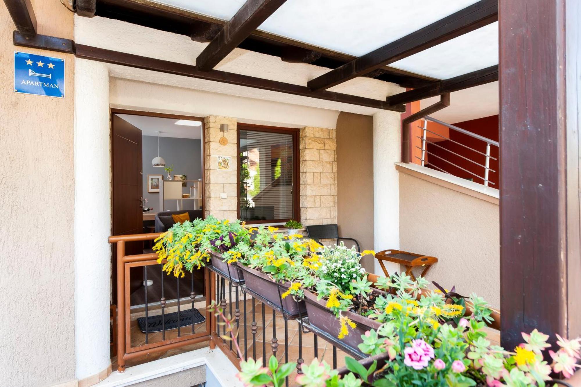 רוביני Apartments Branko מראה חיצוני תמונה